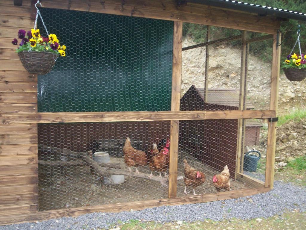 Lettermacaward Eagle'S Nest Bed & Breakfast المظهر الخارجي الصورة
